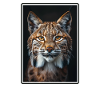 Bobcats Rotluchse Rotluchs Luchs