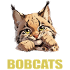 Bobcats Rotluchse Rotluchs Luchs