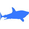 Shark Hai