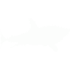 requin requin