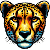 Guépard
