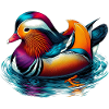 Mandarin duck