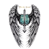 WINGS PIRATE