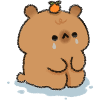 Sad Capybara