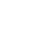 Political scientist