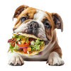 Bouledogue anglais