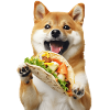 Shiba Inu