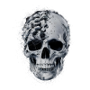Disintegrated skull