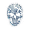 Broken sinister Skull
