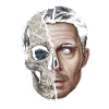 Half human half skull