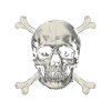 Pirate flag Skull with bones