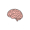 Neuro Infirmière Infirmière Neurologie Cadeau