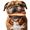 Bouledogue