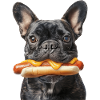 Bouledogue français