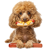 Poodle