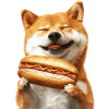 Shiba Inu