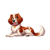 Brittany Spaniel 14