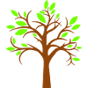Tree Beautiful Leaves Nature Forest Tree Silhouette