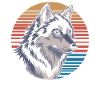 Majestic wolf before sunset