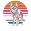 Retro Wolf Vor Sonnenuntergang