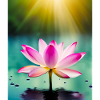 Lotus
