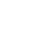 Gazelle