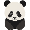 Panda Bear Kids Panda