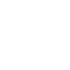 Toxicomane