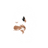 Australian Shepherd Fingerprint Creative