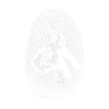 Boxer Fingerprint Creative Boxer