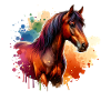 Cheval motif Marwari