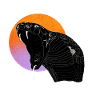 Schlange