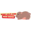 Moo Deng!