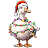 Oie Canard Père Noël