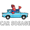 car sosage 1052