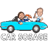 car sosage 1042