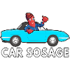 car sosage 104