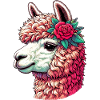 Alpaca