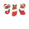 Simpatici capibara in calzini natalizi per Natale