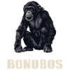 Bonobos Bonobo
