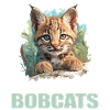 Bobcats Rotluchse Rotluchs Luchs