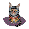 Cat Heavyweight Surdimensionné