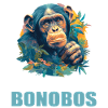 Bonobos Bonobo
