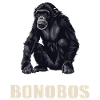 Bonobos Bonobo