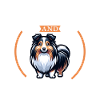 Coffee and Shetland Sheepdog