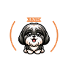 Kaffee und Shih Tzu