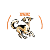 Café et lévrier soyeux