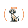 Coffee and Sloughi