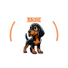 Coffee and Smålandsstövare