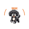 Kaffee und Spanischer Wasserhund